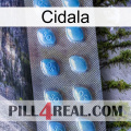 Cidala viagra3